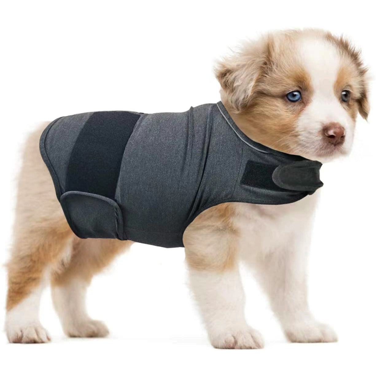 Calm Your Anxious Dog Naturally with Our Anxiety Relief Dog Tank Top